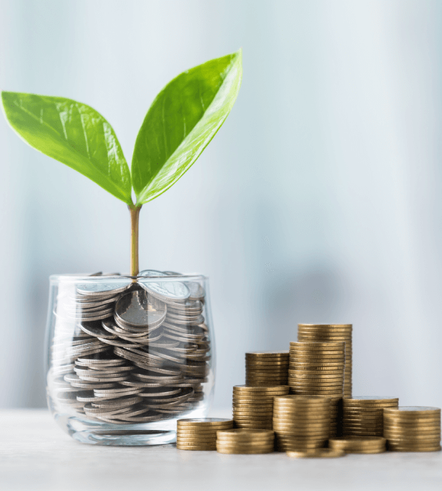 A plant growing out of a glass filled with coins